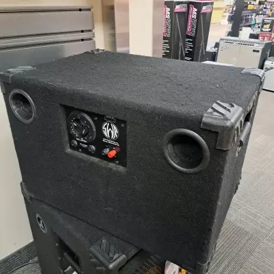 SWR GOLIATH JR II 210 CAB 3
